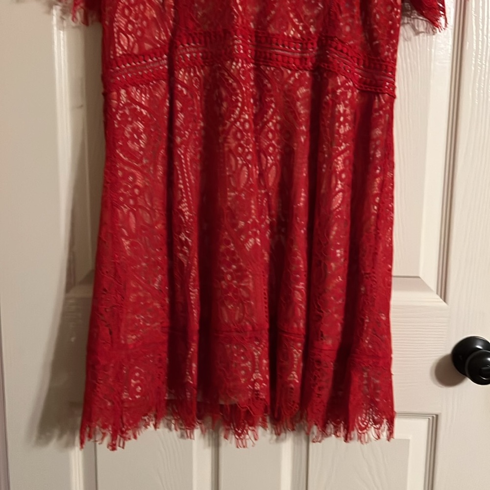 Perfectly Priscilla Lace Dress 1X - Picture 3 of 5
